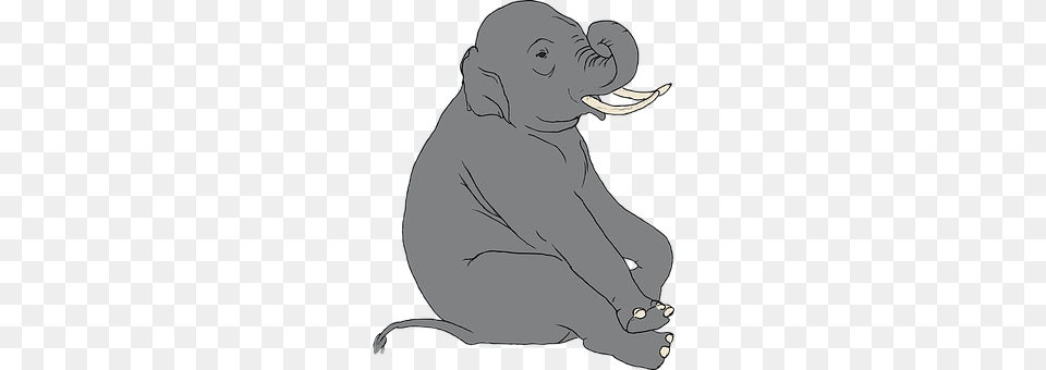 Elephant Adult, Person, Woman, Female Free Transparent Png