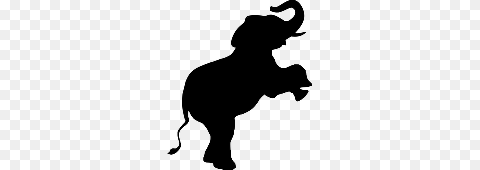 Elephant Gray Png Image