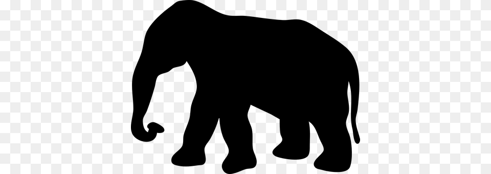 Elephant Gray Png Image