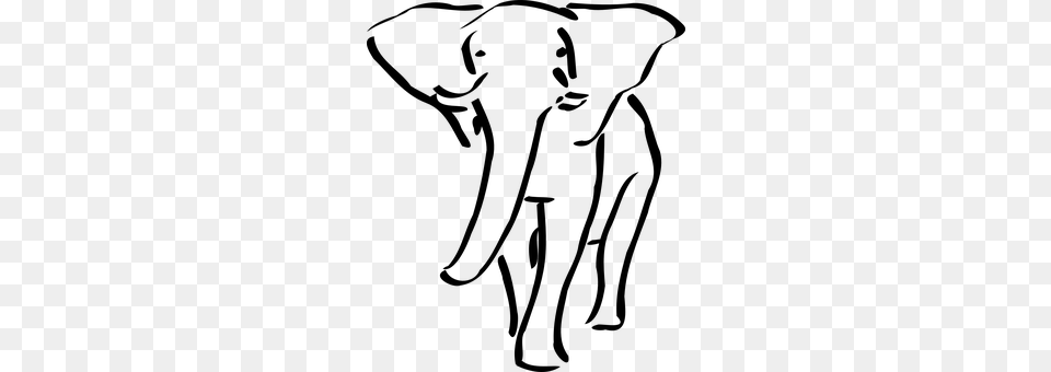 Elephant Gray Png