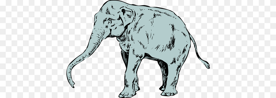 Elephant Animal, Mammal, Wildlife, Art Free Png