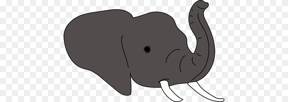 Elephant Animal, Mammal, Wildlife, Fish Free Png Download