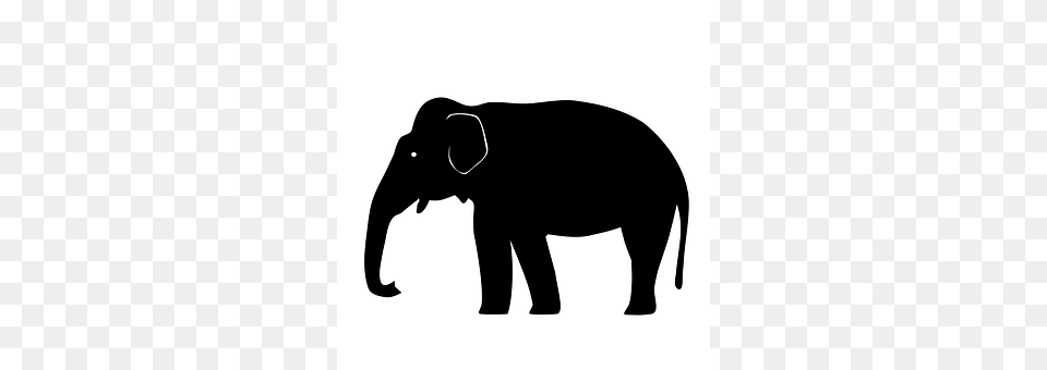 Elephant Animal, Mammal, Wildlife, Silhouette Png Image