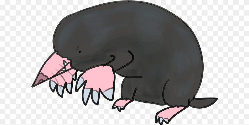 Elephant, Animal, Mammal, Mole, Helmet Free Transparent Png