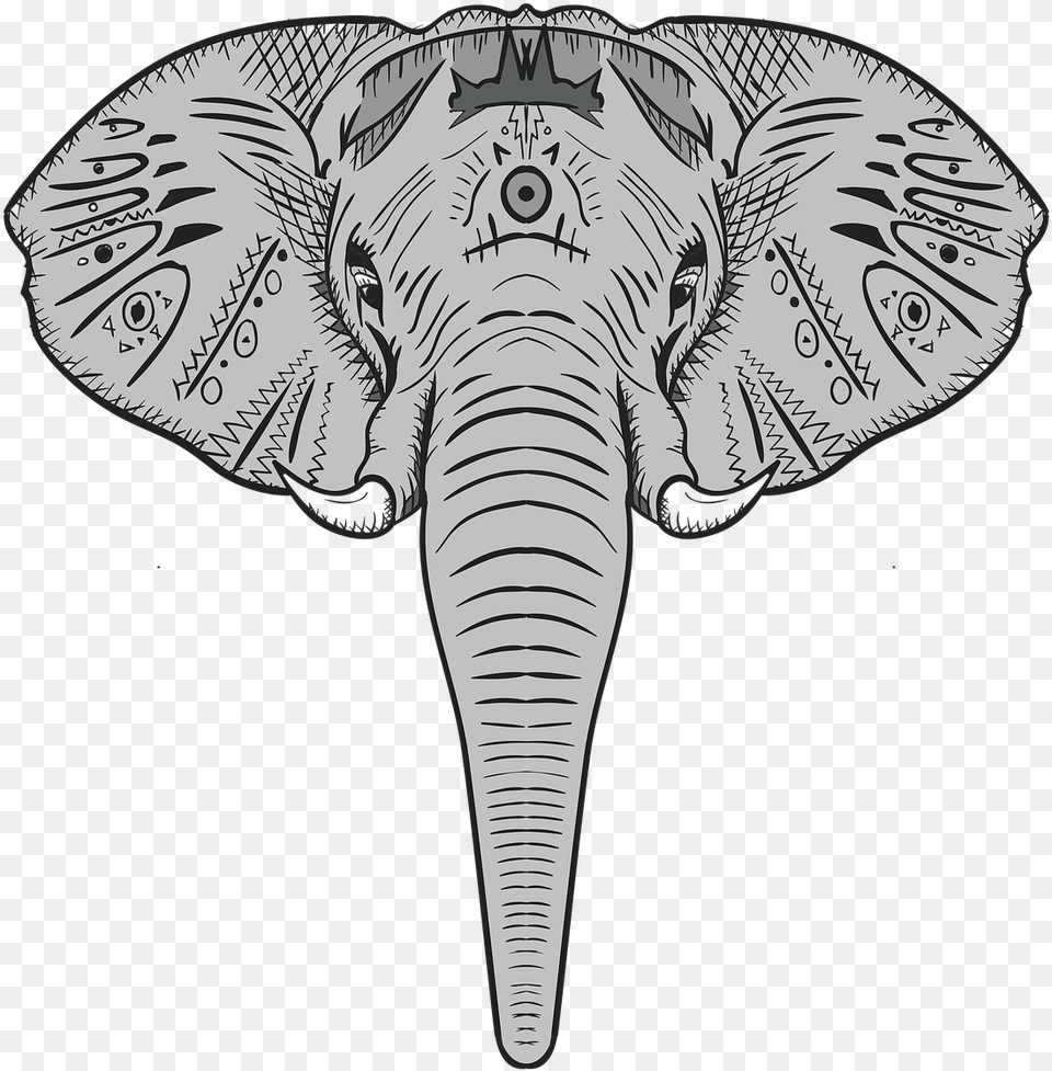 Elephant Animal Wildlife Head Dibujo De Cabeza De Elefante, Mammal, Art, Drawing Free Transparent Png