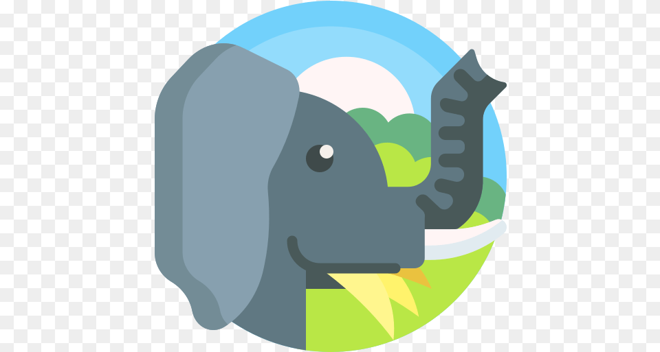 Elephant Animals Icons Elephant Hyde, Crash Helmet, Helmet, Disk Free Png