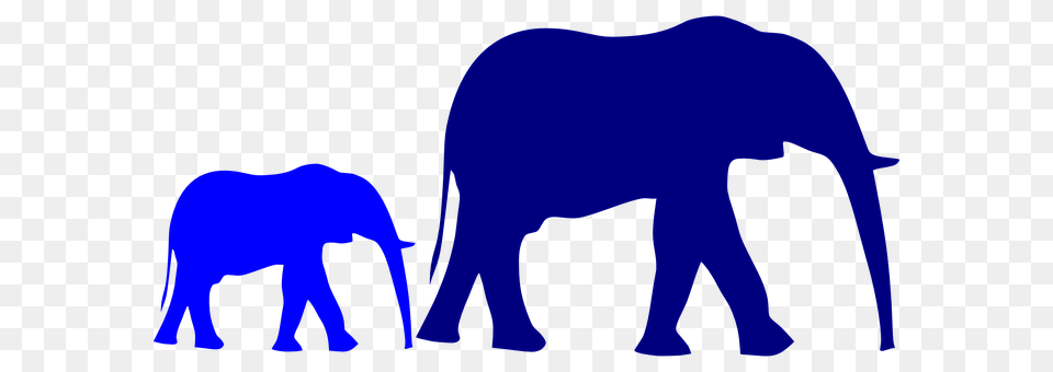 Elephant Baby Mother Blue Pixaby Picture, Animal, Mammal, Wildlife Free Png