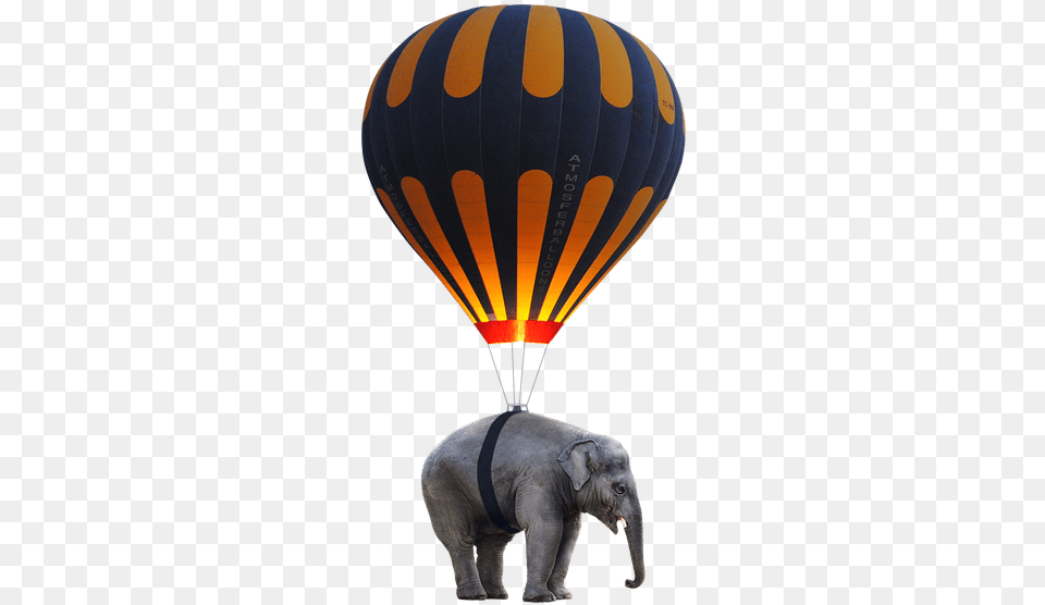 Elephant Balloon, Animal, Mammal, Wildlife, Aircraft Free Transparent Png