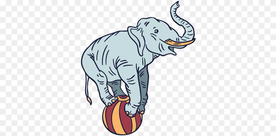 Elephant Circus Hand Drawn For Basketball, Adult, Male, Man, Person Free Transparent Png