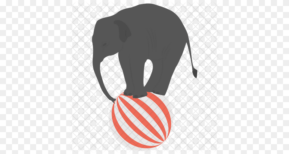 Elephant Circus Icon For Basketball, Adult, Male, Man, Person Free Png