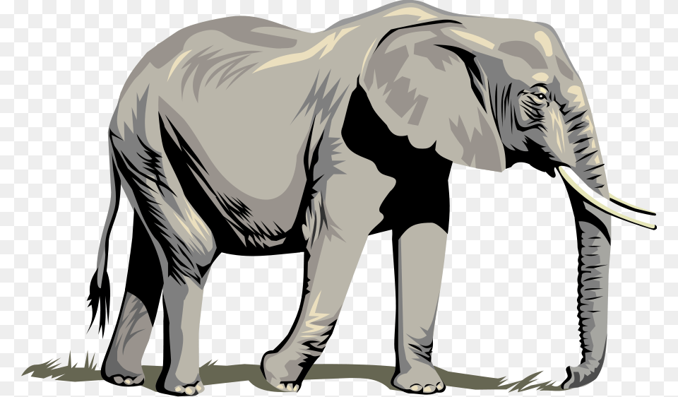 Elephant Clip Art Look, Adult, Male, Man, Person Png Image