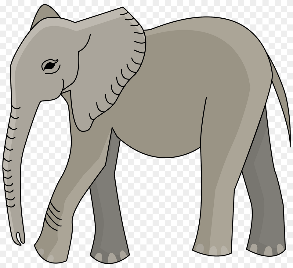 Elephant Clipart, Animal, Mammal, Wildlife, Person Png