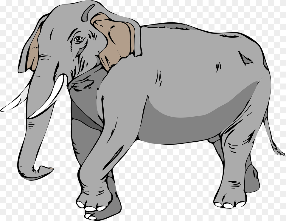 Elephant Clipart, Baby, Person, Animal, Mammal Free Png