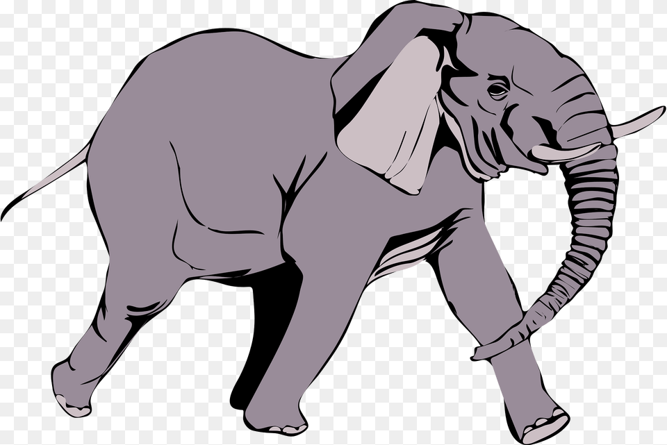 Elephant Clipart, Animal, Mammal, Wildlife, Baby Png