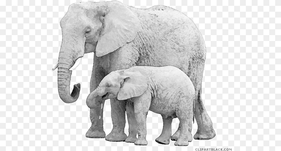 Elephant Clipart Baby Animal, Mammal, Wildlife Png Image