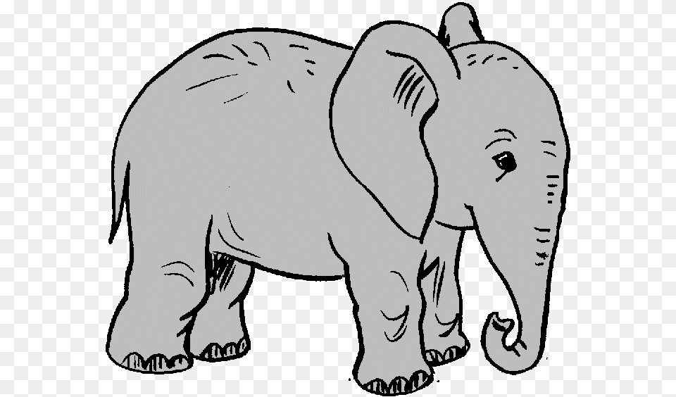 Elephant Clipart Clip Art Arthurs, Animal, Wildlife, Baby, Person Free Transparent Png