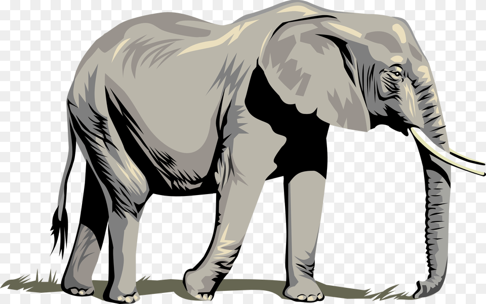 Elephant Clipart For Web Transparent Background Elephant Clipart, Animal, Mammal, Wildlife, Adult Free Png Download