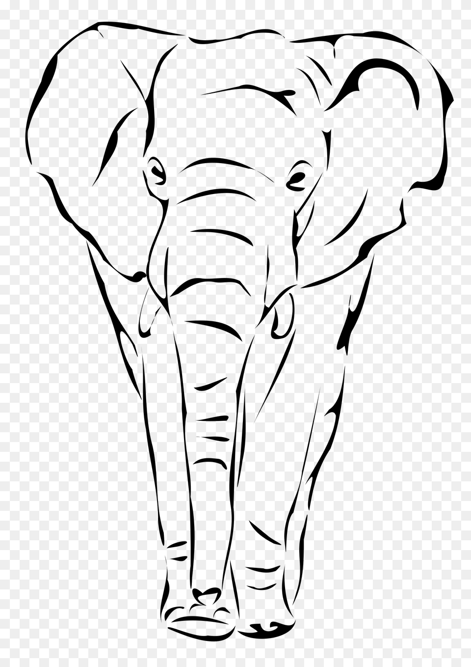 Elephant Clipart Front View, Gray Free Png Download
