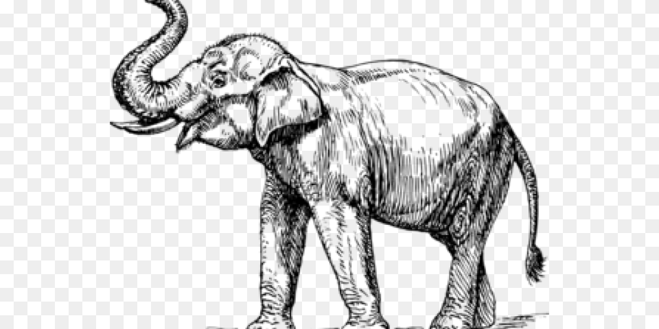 Elephant Clipart God Line Art Images Elephant, Gray Png Image