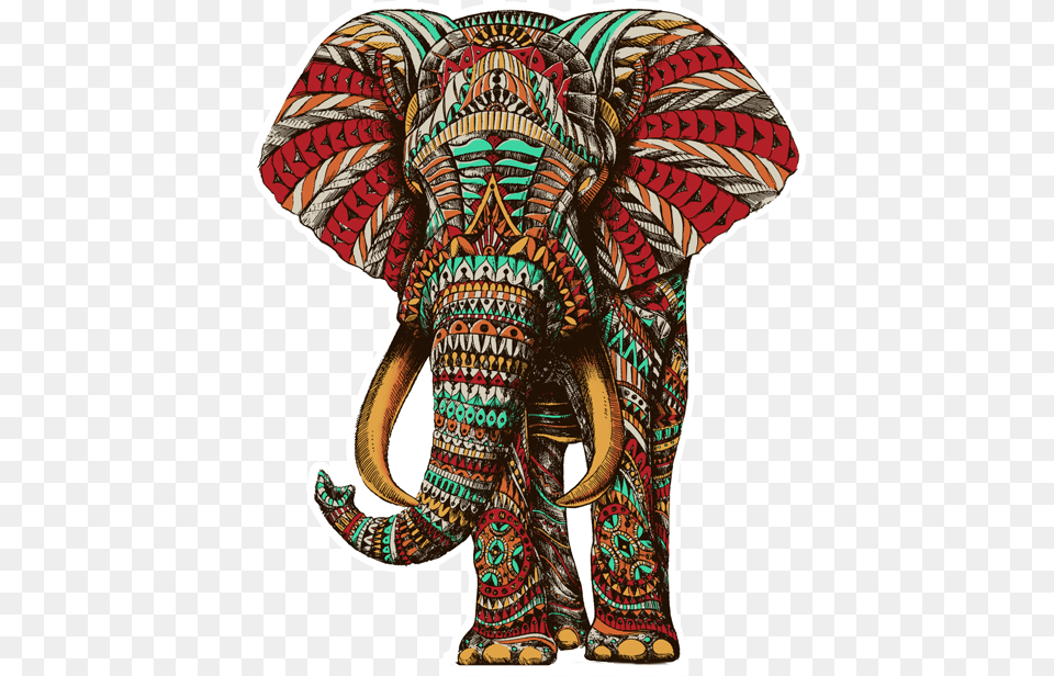 Elephant Color, Adult, Female, Person, Woman Free Png