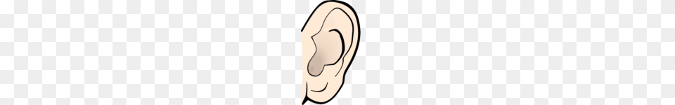 Elephant Ears Clipart Clip Art Ear, Body Part Free Transparent Png