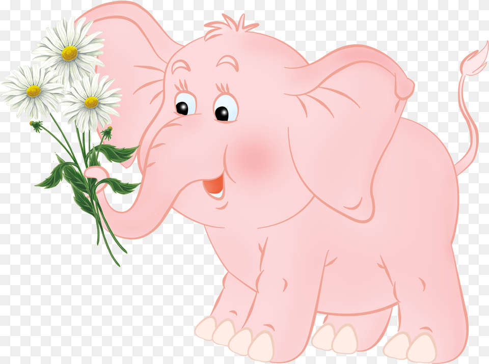 Elephant Flowers Cartoon, Daisy, Flower, Plant, Animal Png Image