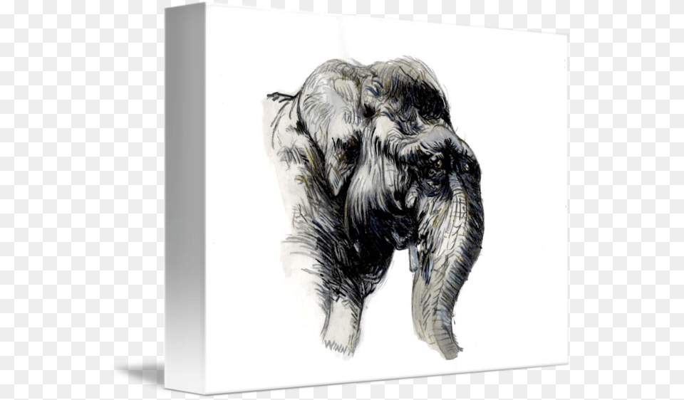 Elephant Head Watercolor By Penny Winn Graphic Black Watercolor Painting, Art, Drawing, Adult, Male Png