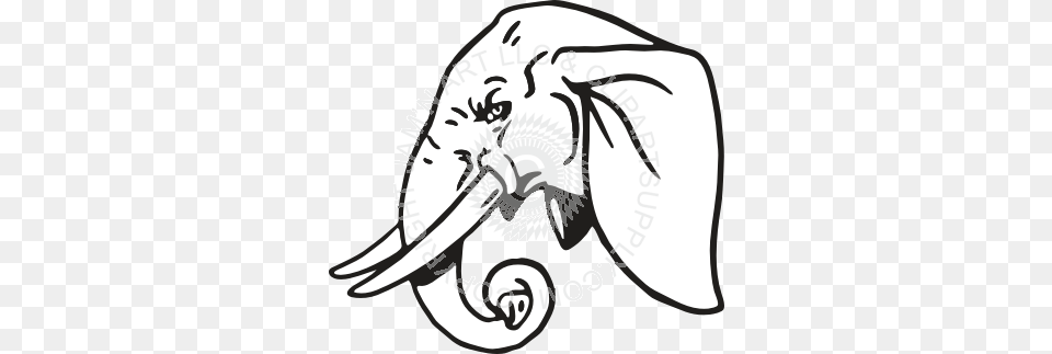 Elephant Head With Trunk Curled, Animal, Mammal, Wildlife, Person Free Png