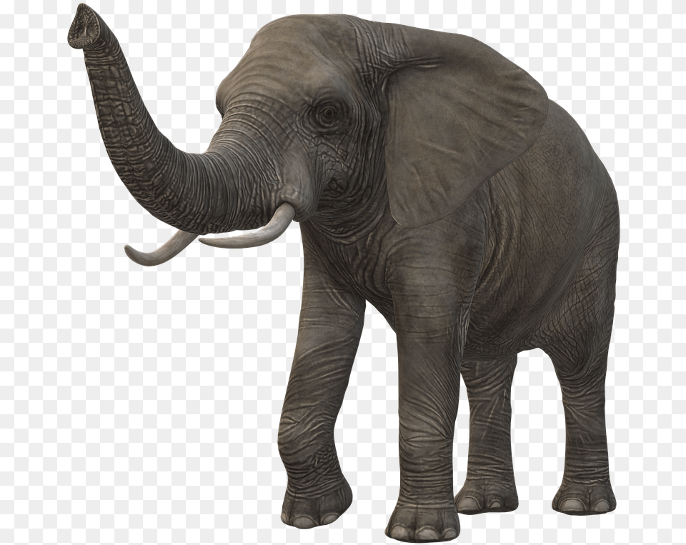 Elephant Icon Animal Figure, Mammal, Wildlife Png Image