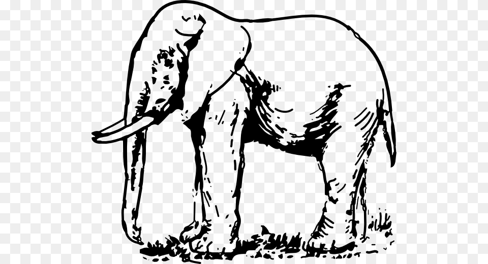 Elephant Images Black And White, Animal, Wildlife, Mammal, Adult Free Transparent Png