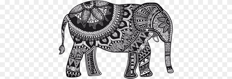 Elephant Mandala Black And White, Art, Doodle, Drawing, Person Free Png Download