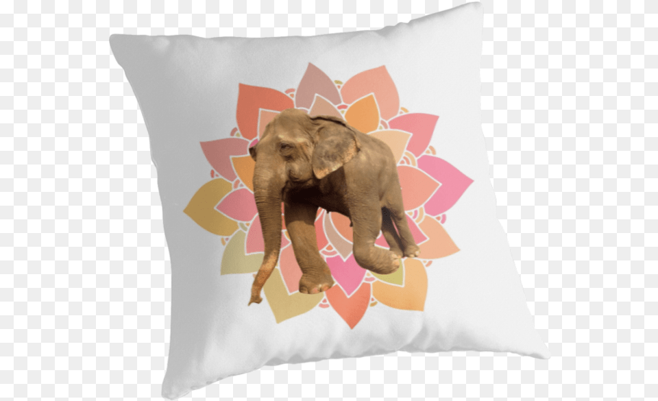 Elephant Mandala By Quotation Park Faze Clan, Cushion, Home Decor, Pillow, Animal Free Transparent Png