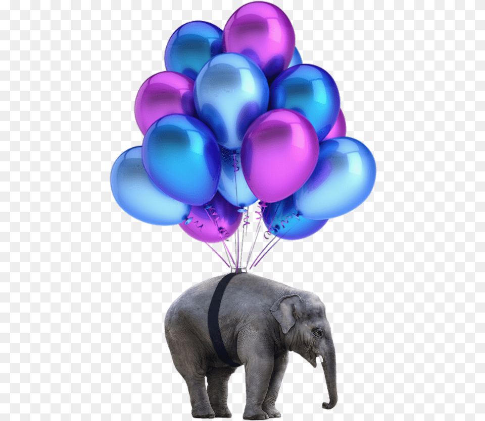 Elephant Nobackground Balloons 18 Balloons For Debut, Balloon, Animal, Mammal, Wildlife Free Transparent Png