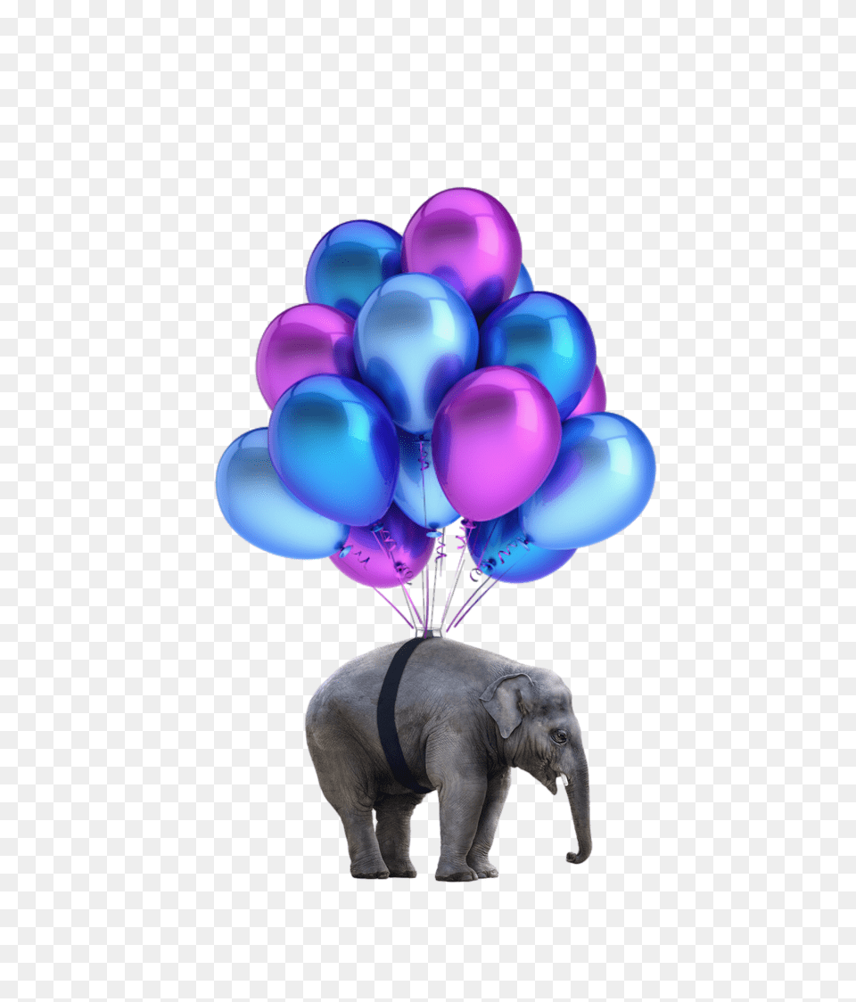 Elephant Nobackground Balloons, Balloon, Animal, Mammal, Wildlife Free Png Download