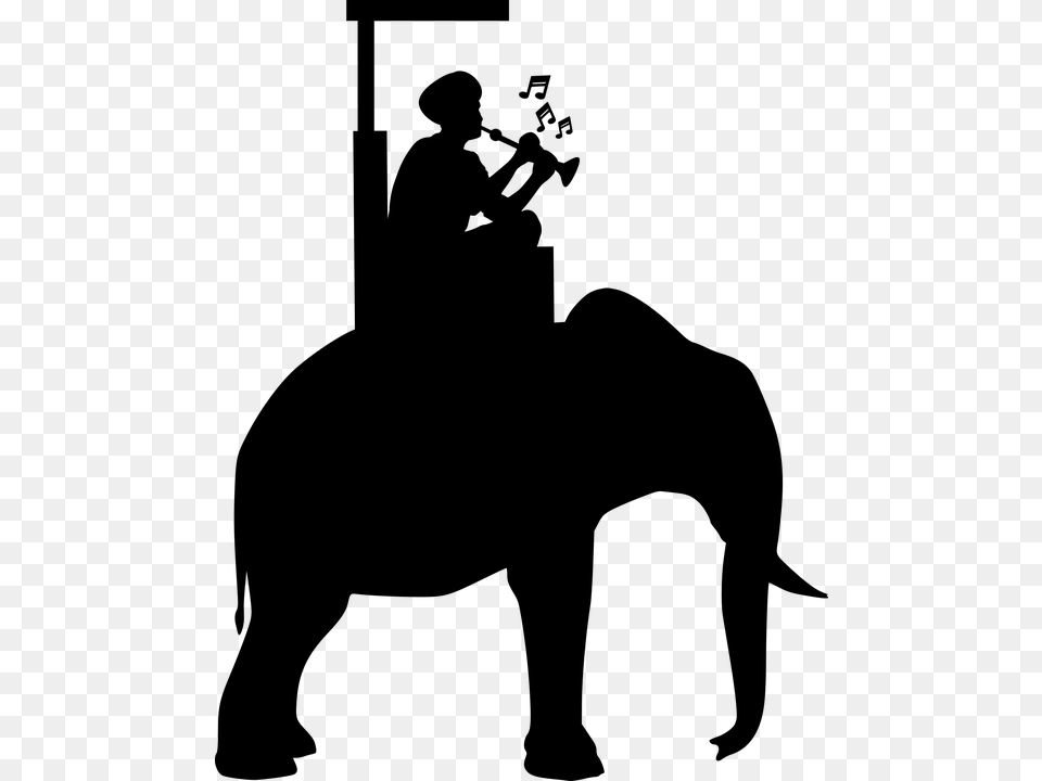 Elephant Ride Vector, Gray Free Png