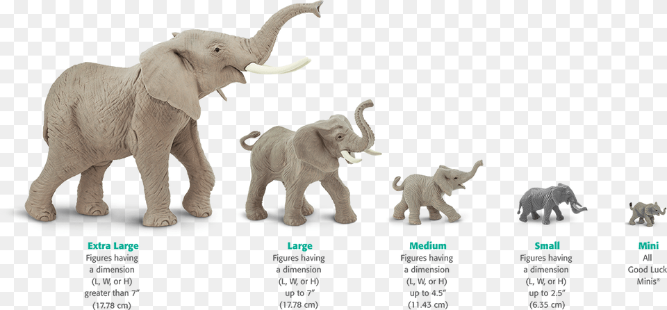 Elephant Safari Ltd, Animal, Mammal, Wildlife, Toy Free Png