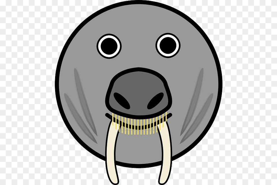 Elephant Seal Seal Horns Fang Teeth Fangs Animal Animal Faces Cartoon, Bowling, Leisure Activities, Disk Png
