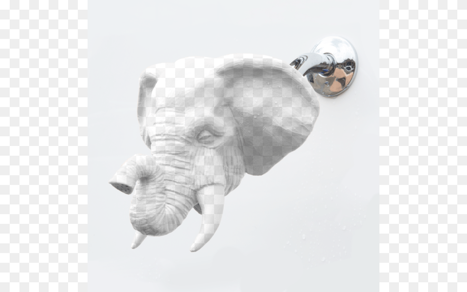 Elephant Showerhead Elephant, Animal, Mammal, Wildlife, Monkey Png