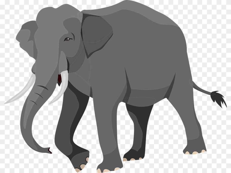 Elephant Silhouette, Animal, Mammal, Person, Wildlife Png