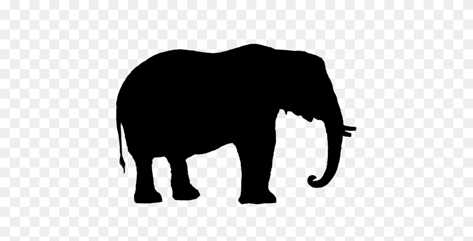 Elephant Silhouette Gray Free Png Download