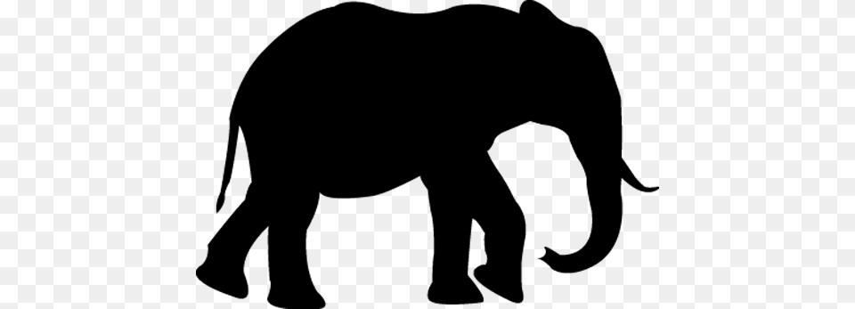 Elephant Silhouette Wall Sticker Silhouette Of A Elephant, Lighting Png Image