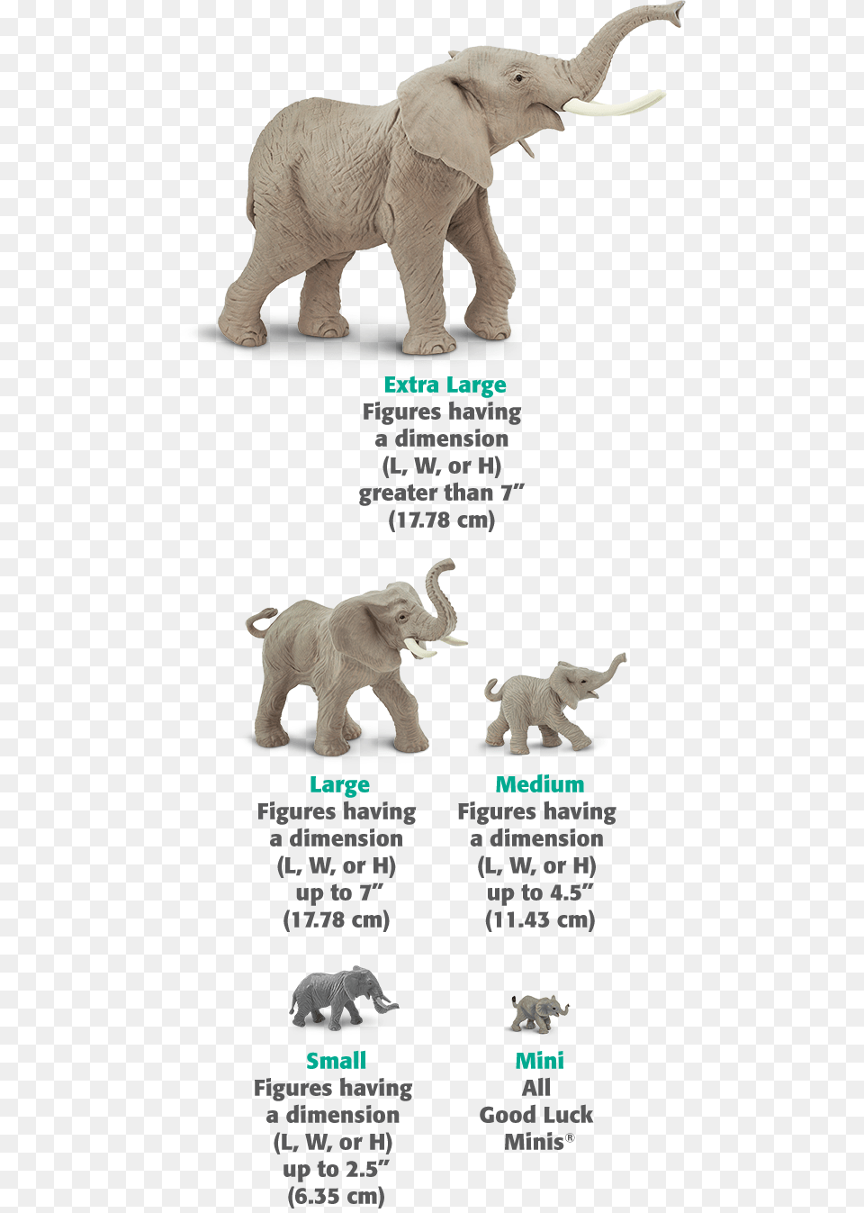 Elephant Size Chart, Animal, Mammal, Wildlife, Dinosaur Free Png Download