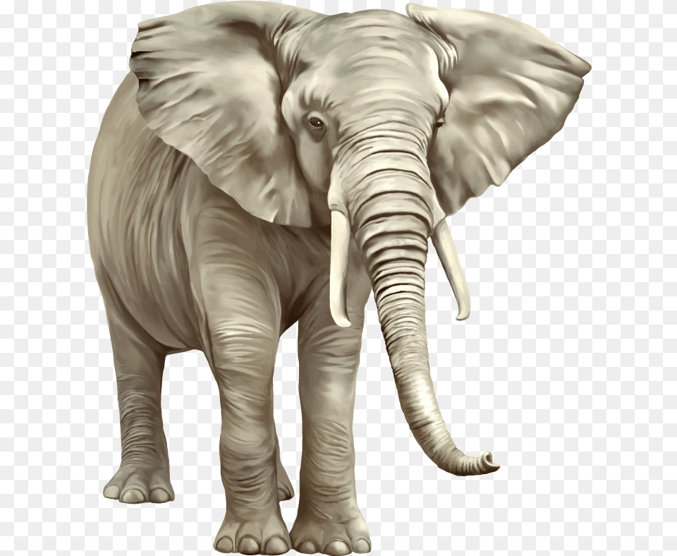 Elephant Transparent Newspaper Watercolor, Animal, Mammal, Wildlife Png Image