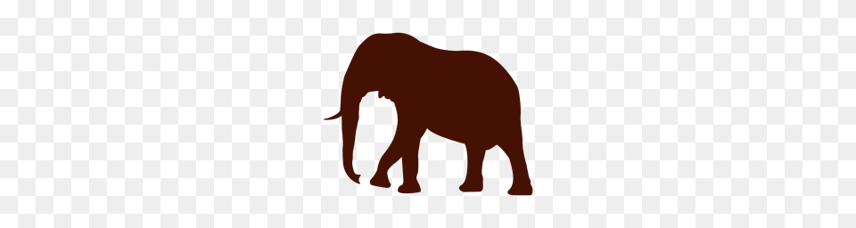 Elephant Transparent Or To Animal, Mammal, Wildlife Free Png Download