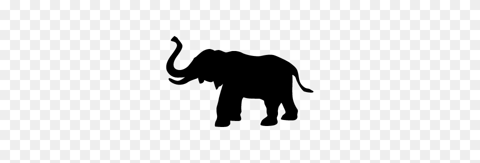 Elephant Trunk Animals, Gray Free Png Download