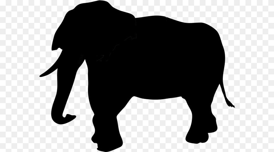 Elephant Trunk Transparent Transparent Zoo Animal Silhouette, Mammal, Wildlife, Baby, Person Free Png