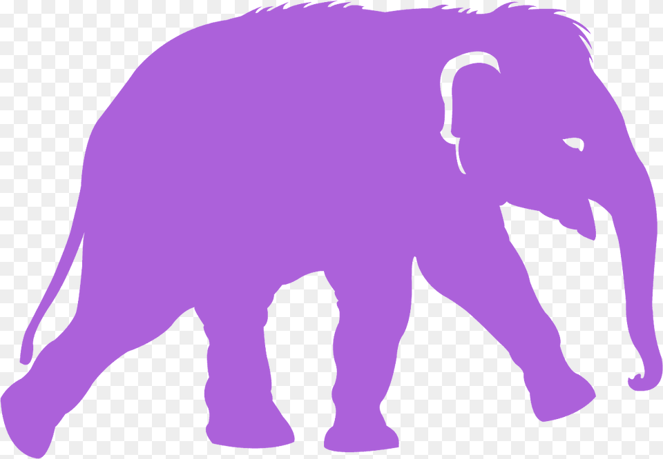 Elephant Vector, Animal, Mammal, Wildlife, Person Free Png Download