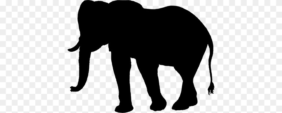 Elephant Vector Art, Gray Free Transparent Png