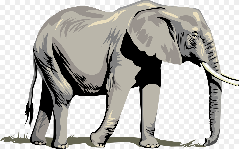 Elephant Vector Art Elephant Clipart, Animal, Mammal, Wildlife, Adult Png Image