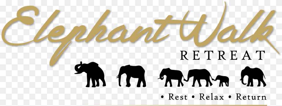 Elephant Walk Retreat 2018 Africa Mission Trip, Text, Handwriting, Dynamite, Weapon Free Transparent Png